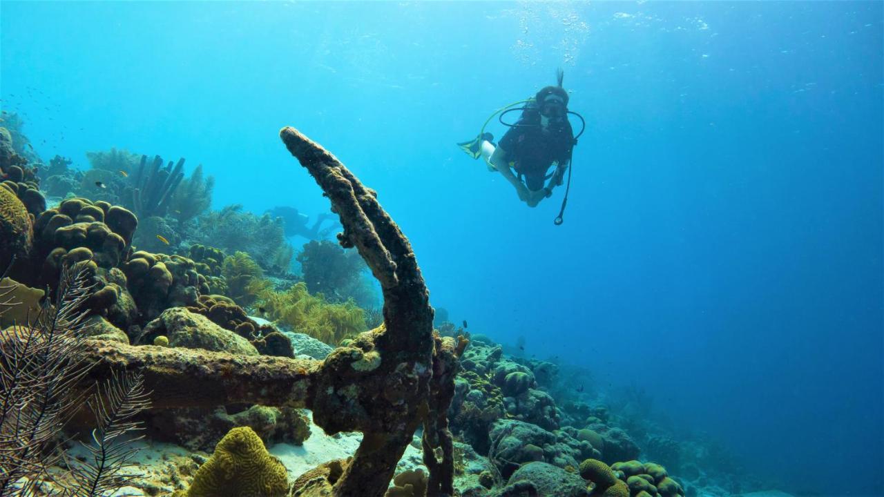 Woodz Bonaire Apartment คราเลนไดค์ ภายนอก รูปภาพ