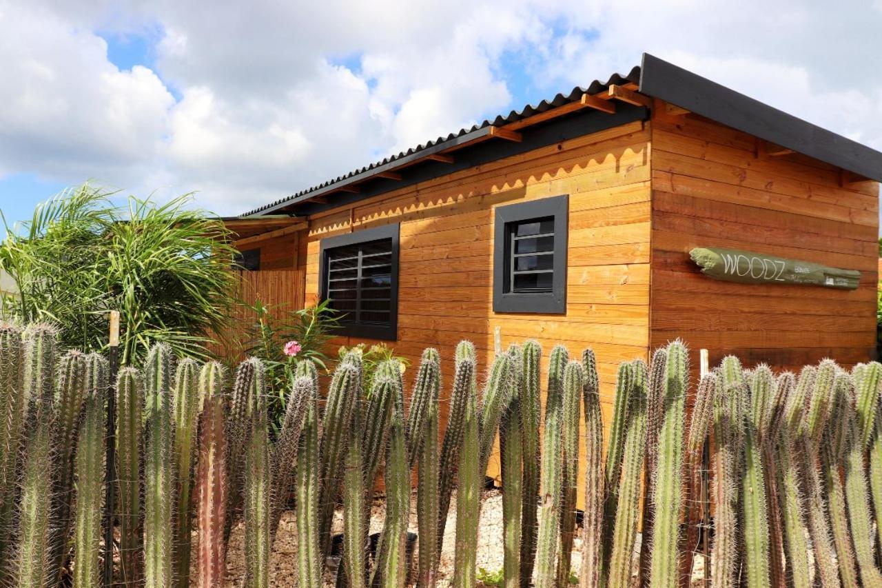 Woodz Bonaire Apartment คราเลนไดค์ ภายนอก รูปภาพ